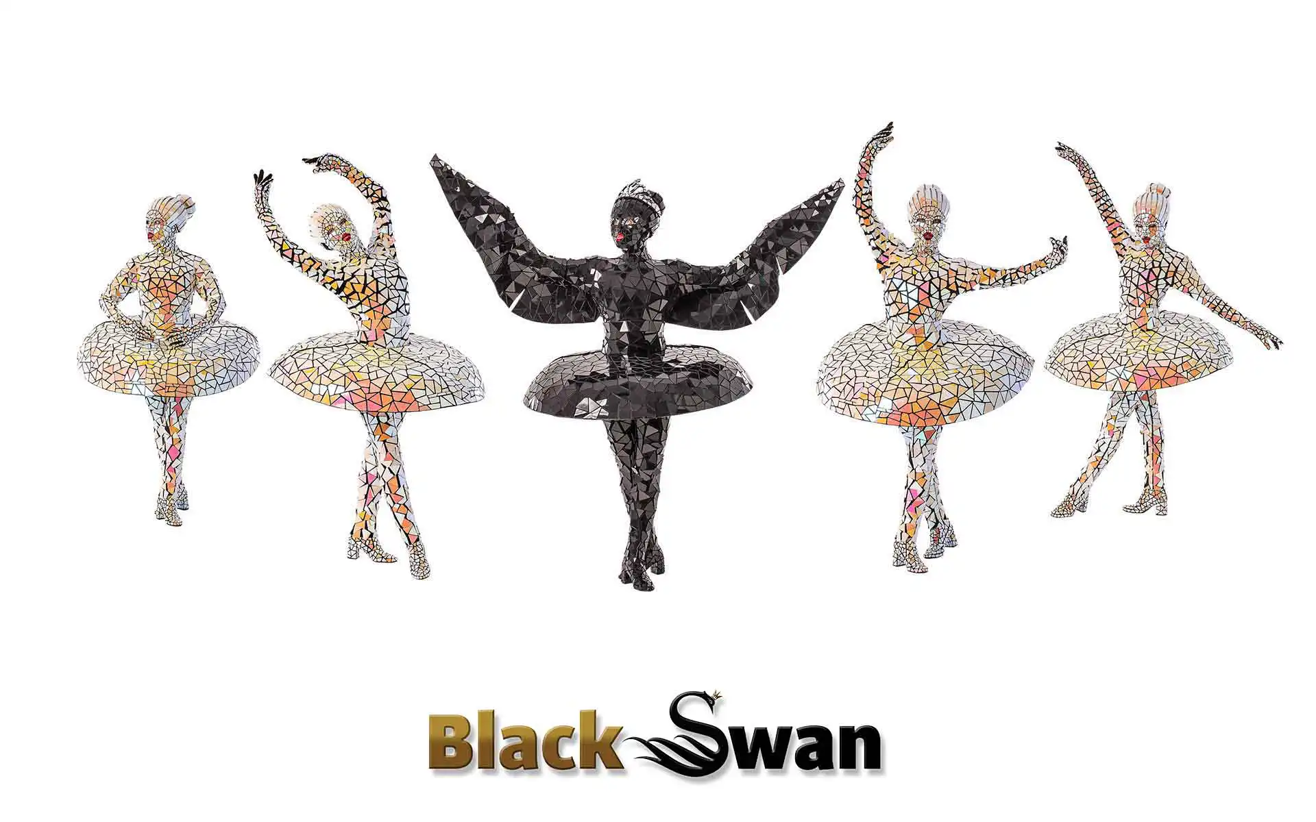 ballet mirror ballerina costumes