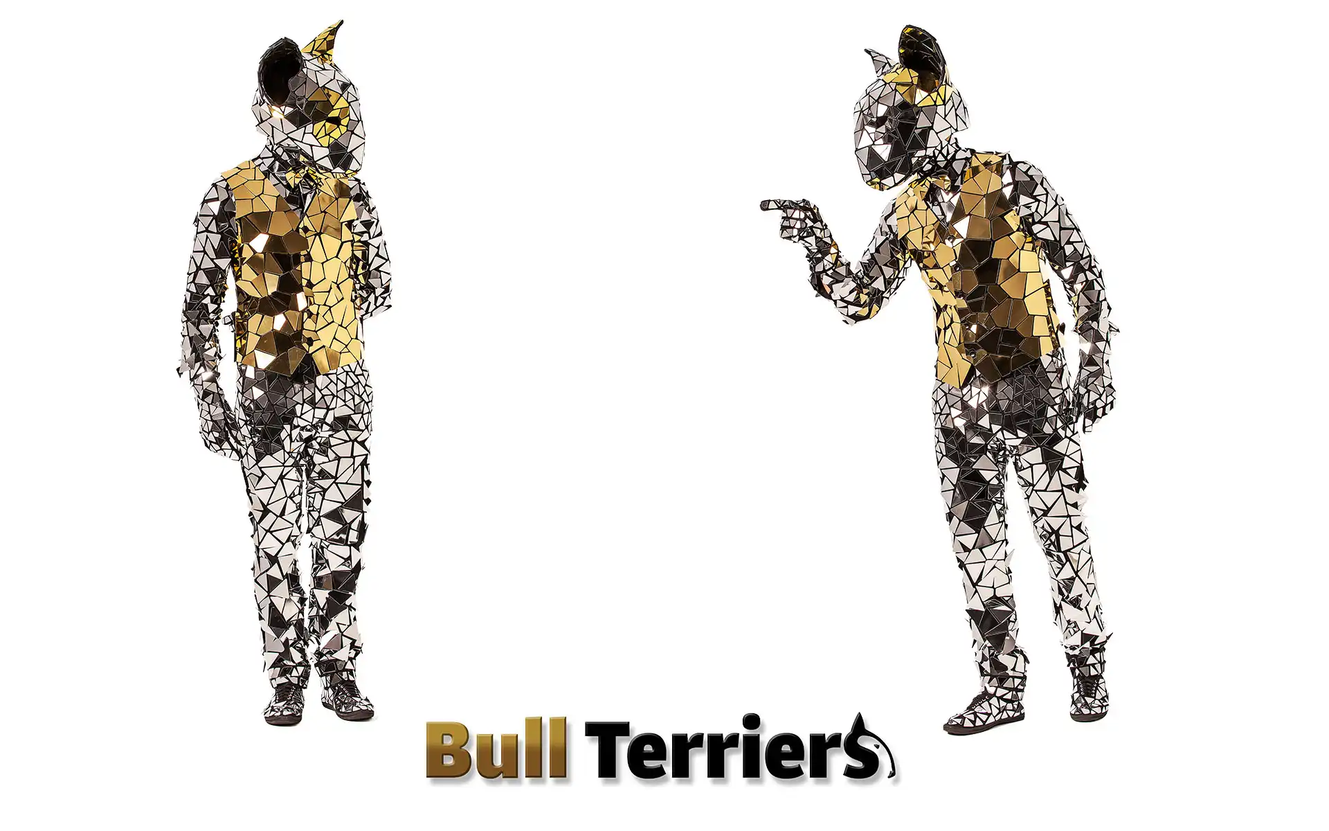 dog mirror costume