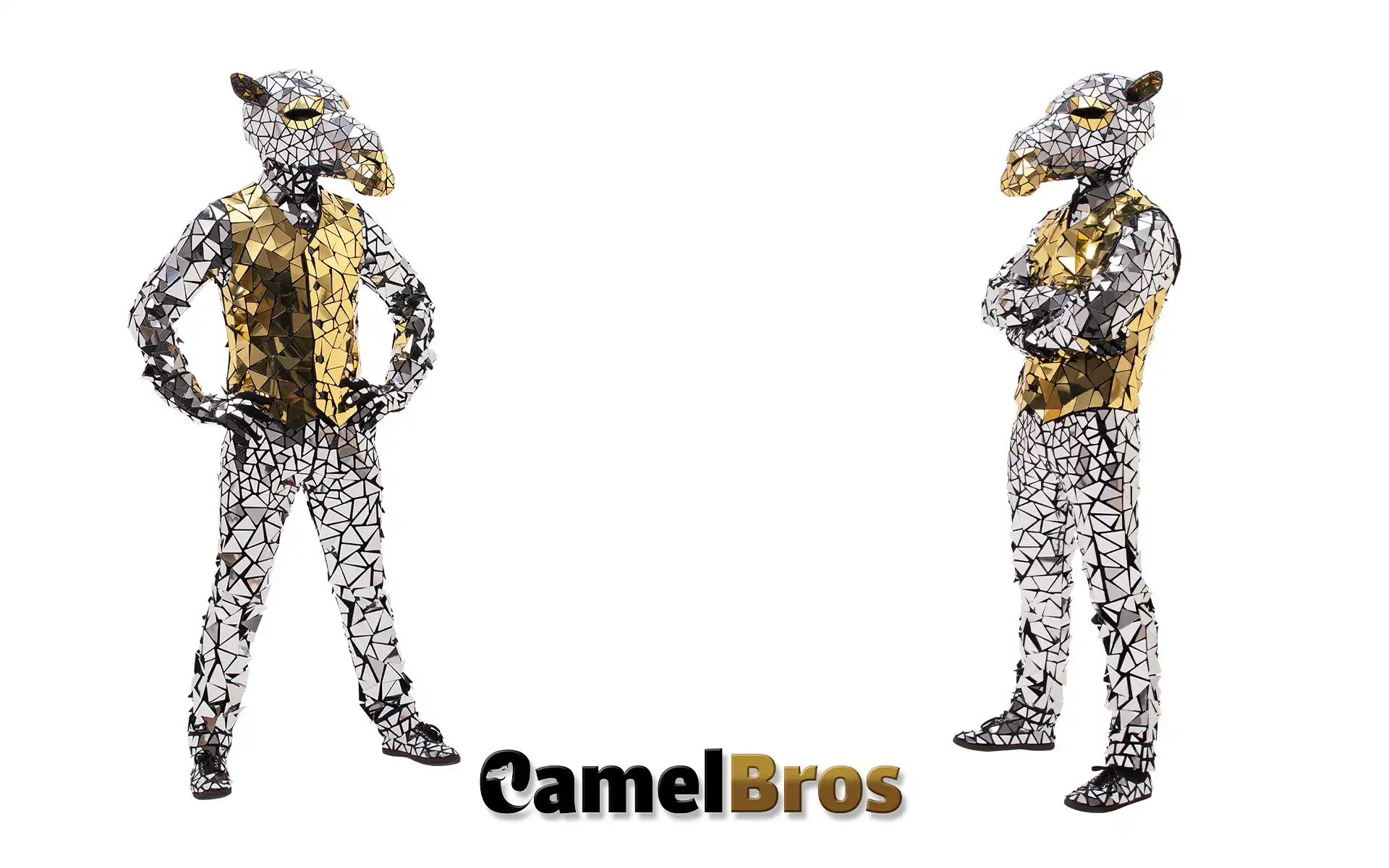camel mirror costumes