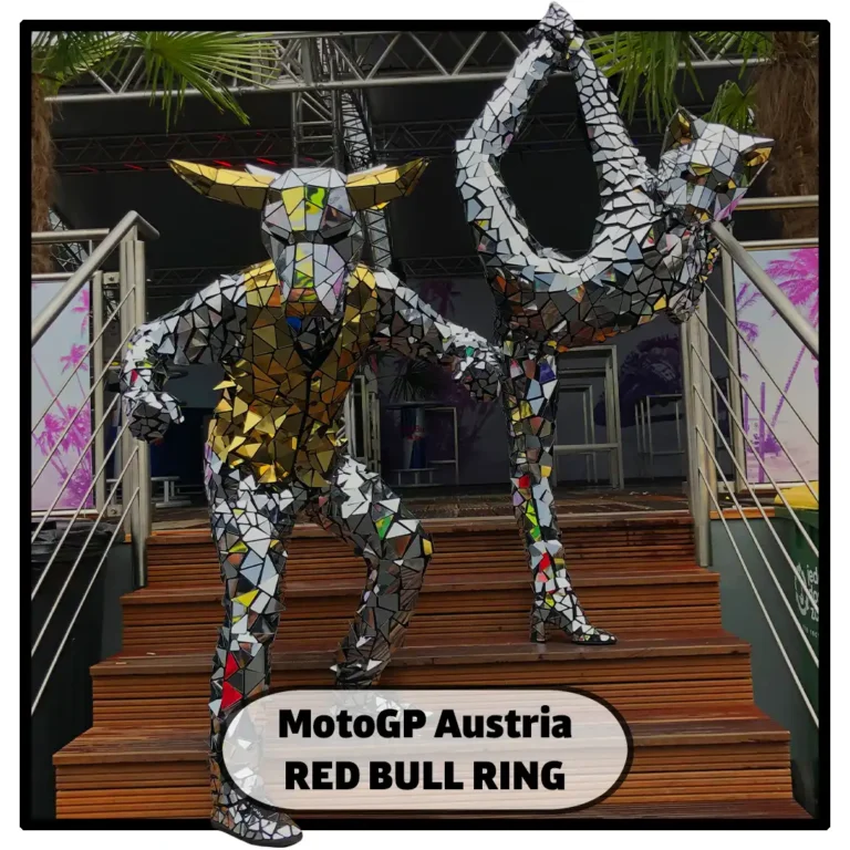 mirror animal costumes
