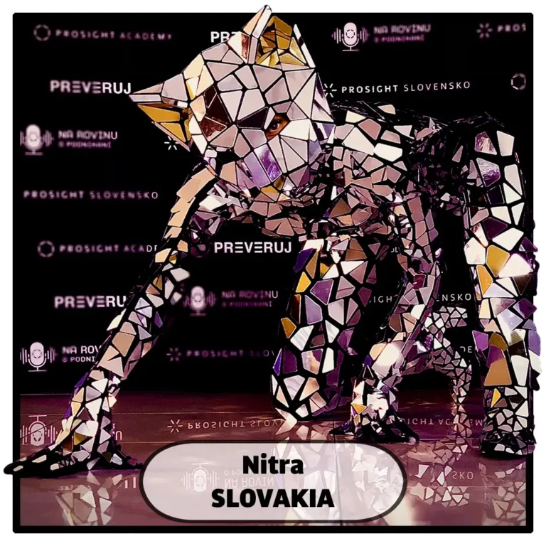 mirror animal costumes