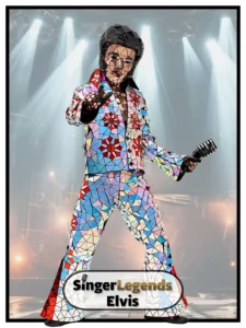 Elvis mirror costume