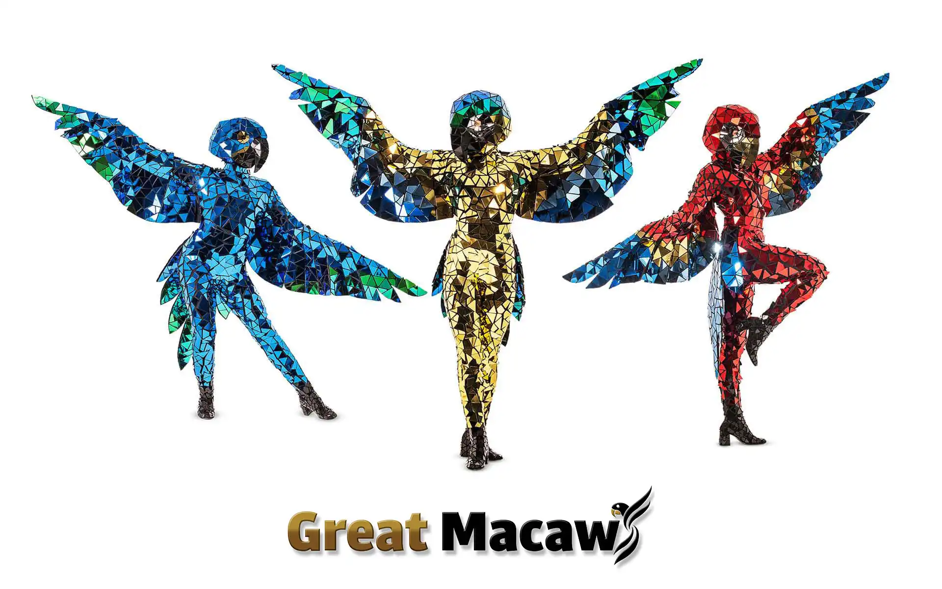 parrot costume macaw 