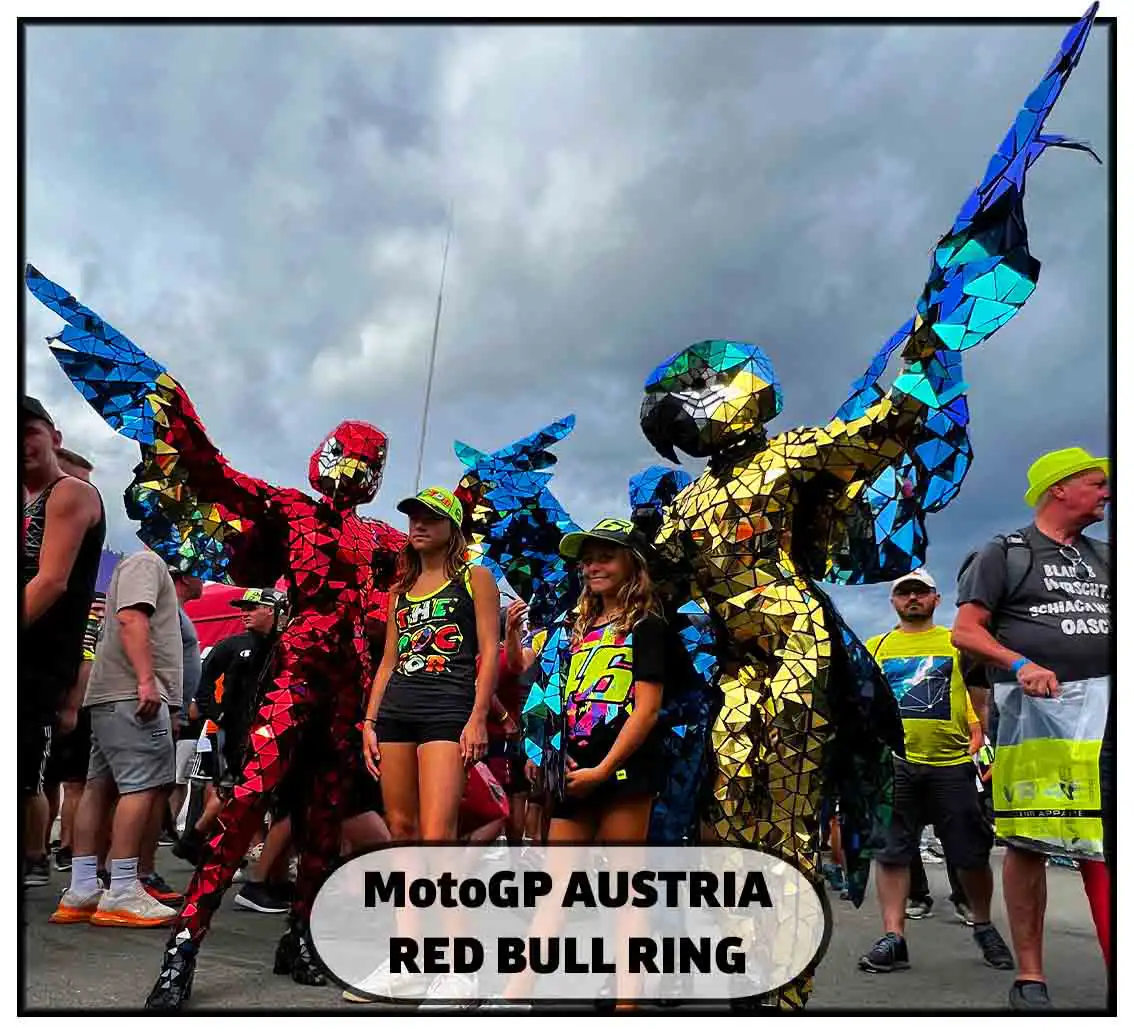 mirror macaw parrot costume