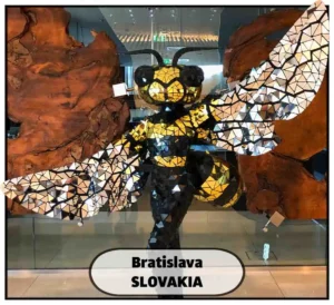 Honey Bee mirror costume