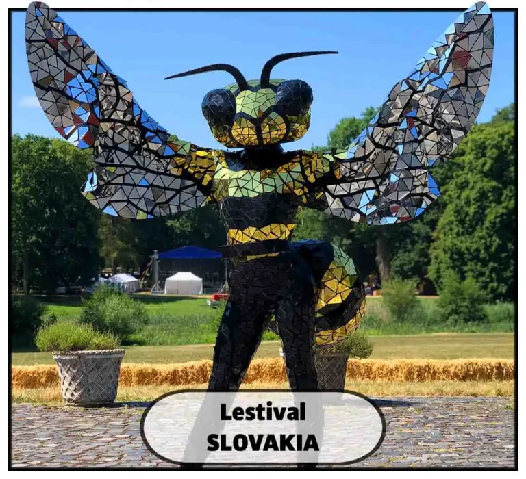 Honey Bee mirror costume
