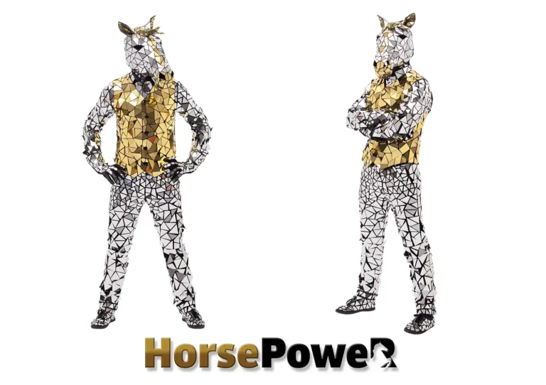 mirror horse costumes