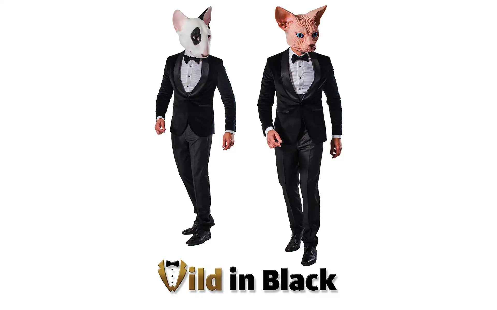 animal dog cat costumes