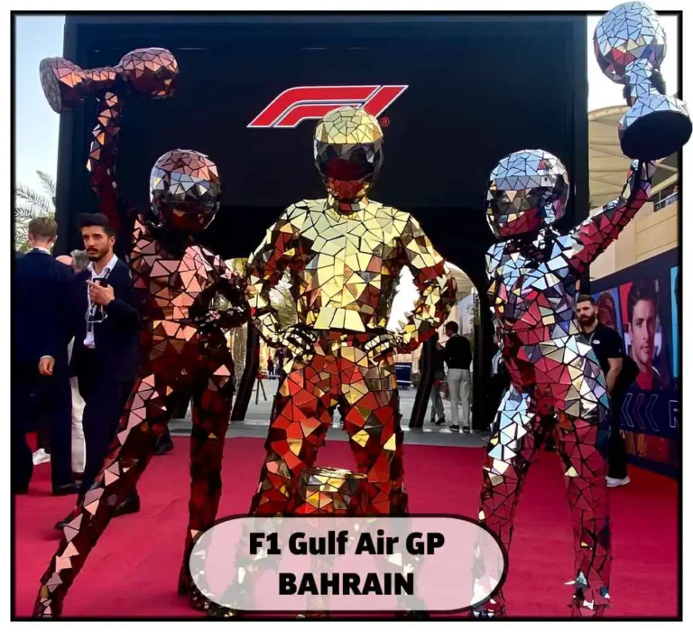 F1 mirror racing girls costumes