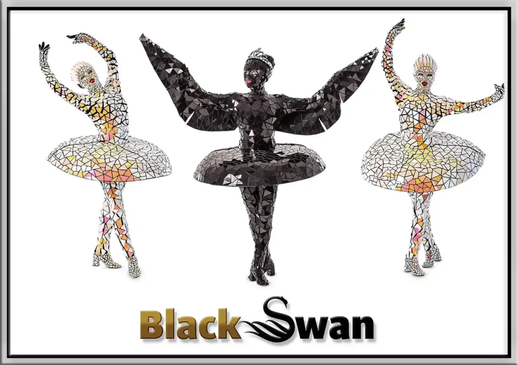 mirror ballerina costumes