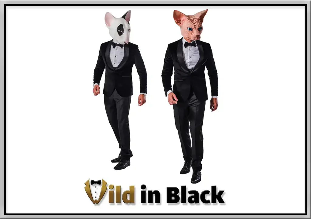 dog and cat costumes